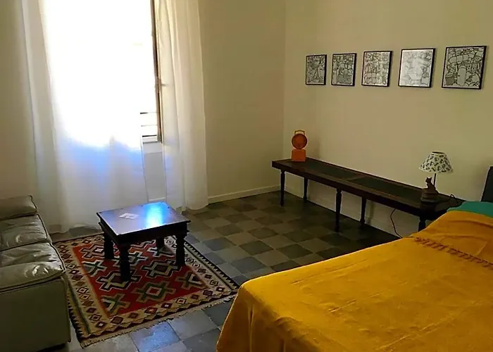 The Chihuahua